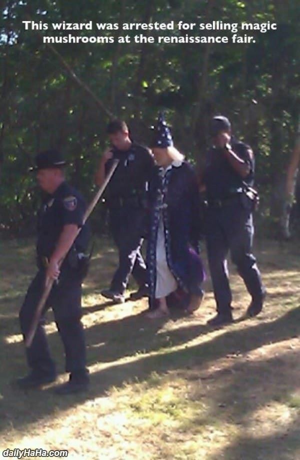 a wizard funny picture