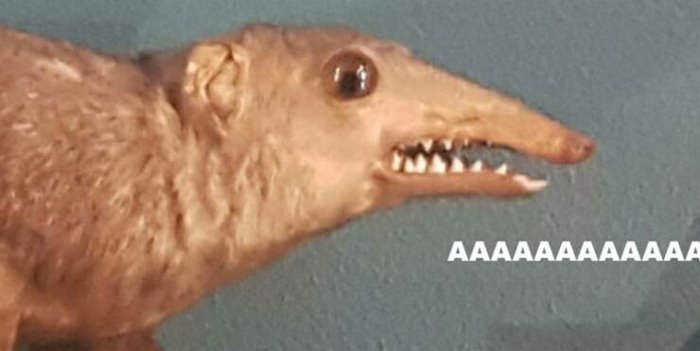 aaaaaaaaaaaaaaaaaaaaaa