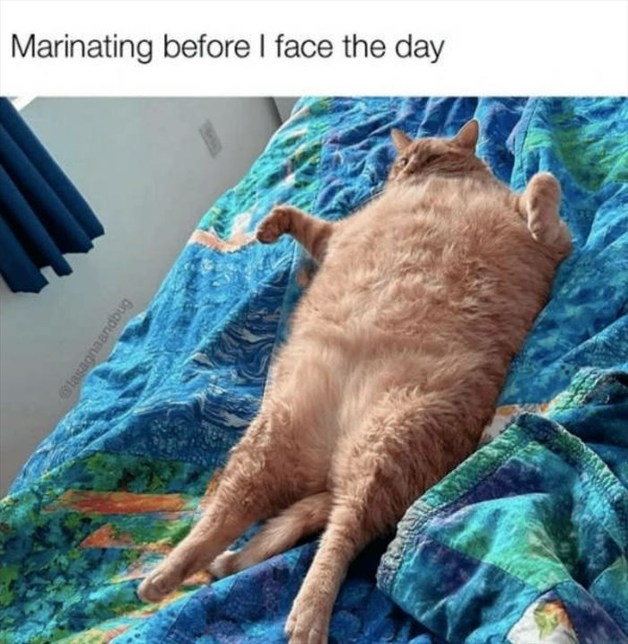 about to face the day