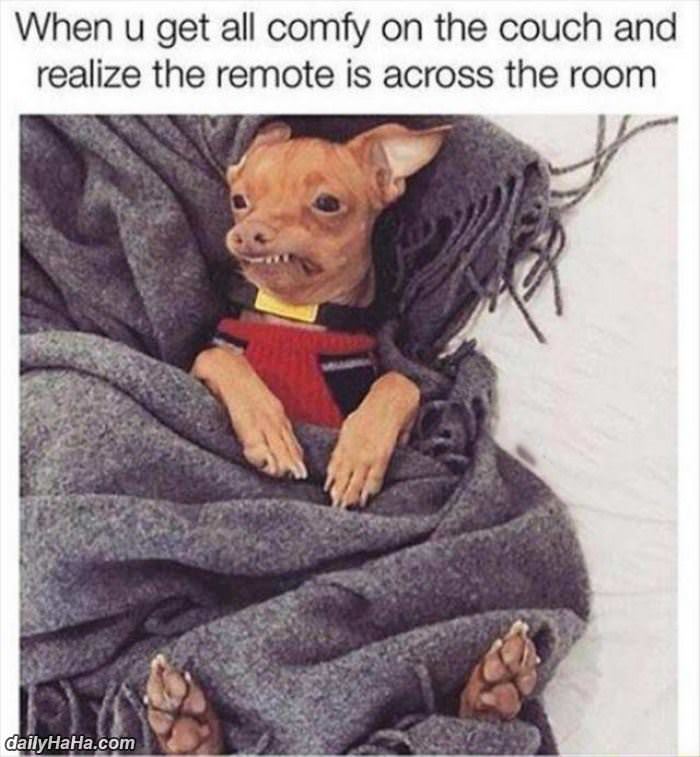 across the room funny picture