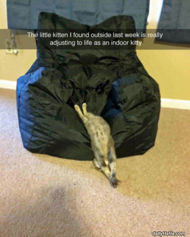 adjusting well funny picture