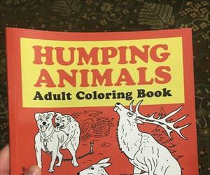 adult coloring book ... 2
