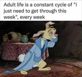 adult life ... 2