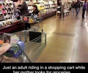 adult in a shopping cart funny picture