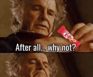 after all why not ... 2