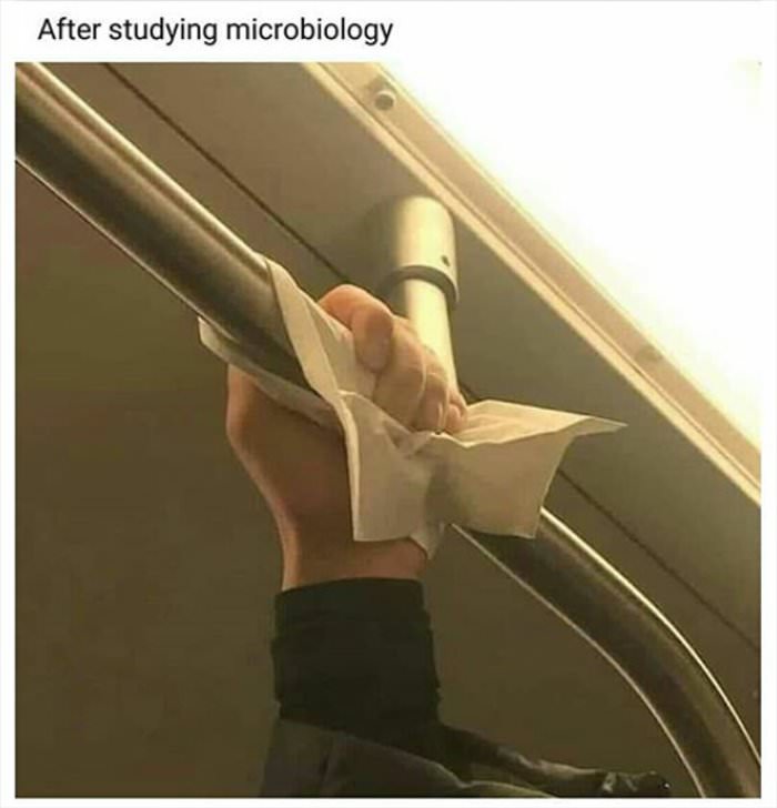after studying micro biology