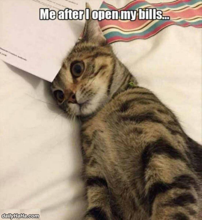after i open my bills funny picture