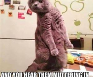 after yelling at your kids funny picture