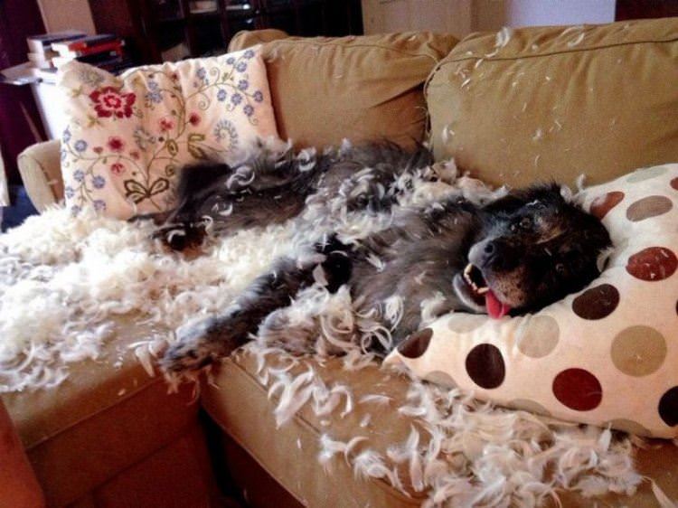 ahhhh yessss funny picture