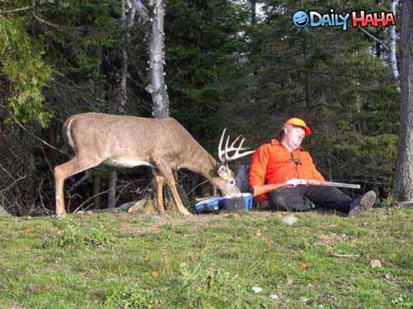 Alert Hunter Funny Picture