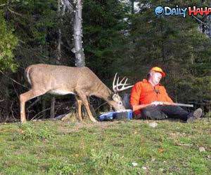 Alert Hunter Funny Picture