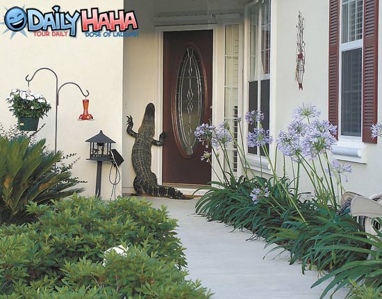 alligator at the door