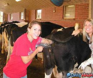 All Smiles funny picture