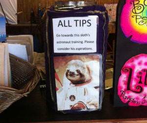 All Your Tips funny picture
