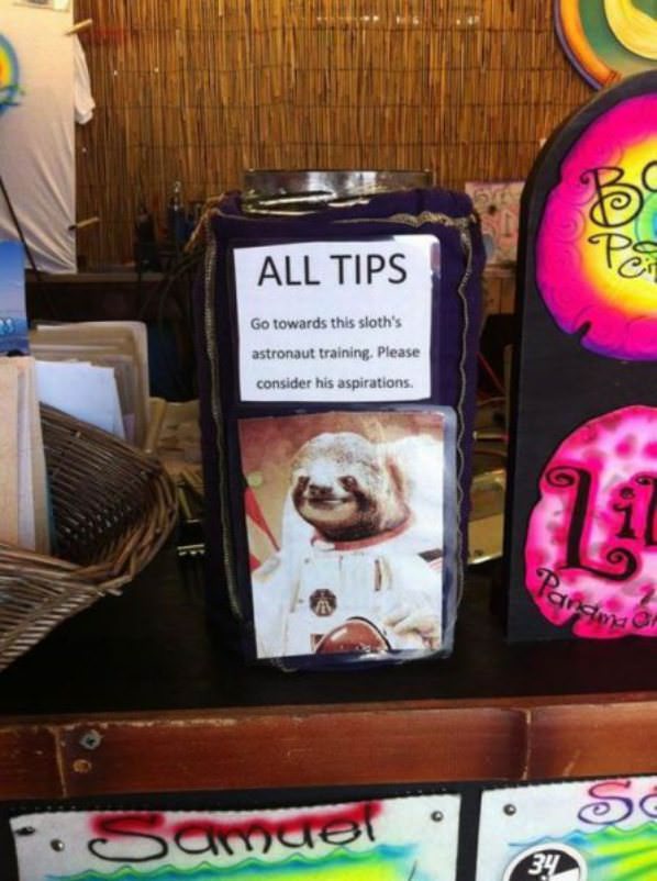 All Your Tips funny picture