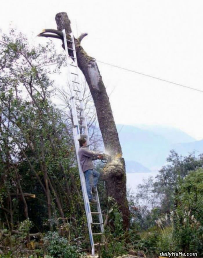 all about safety first funny picture