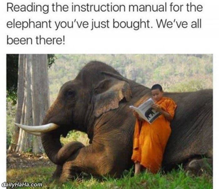 all been there right funny picture