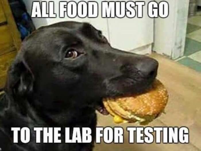 all food must be tested funny picture