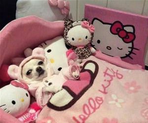 all ready for bed funny picture