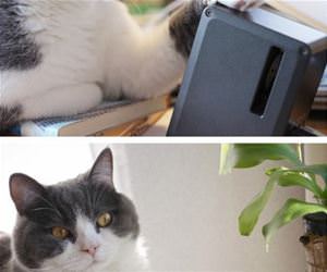 all things that are mine funny picture