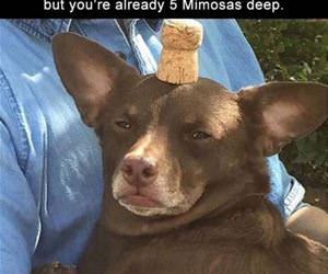 all your friends are late funny picture