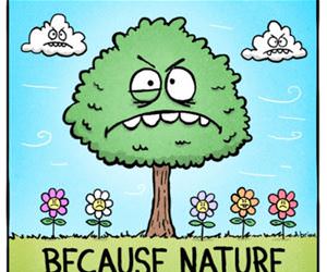 allergies funny picture