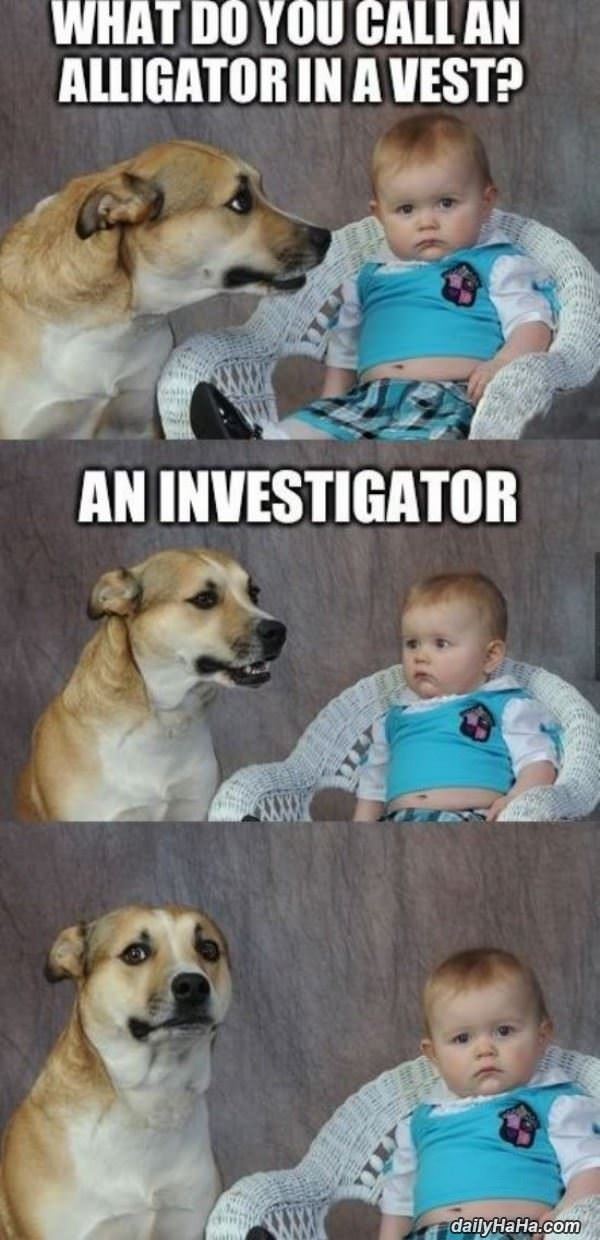 alligator in a vest funny picture