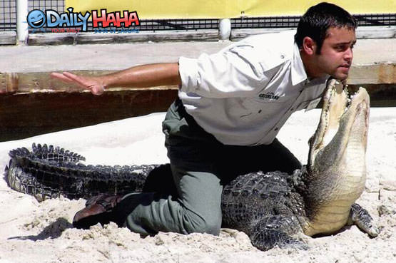 Alligator Tamer