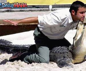 Alligator Tamer