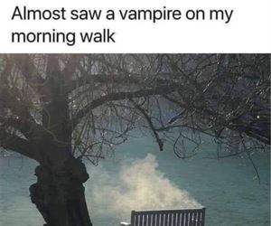 almost saw one