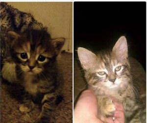 already sick of you funny picture