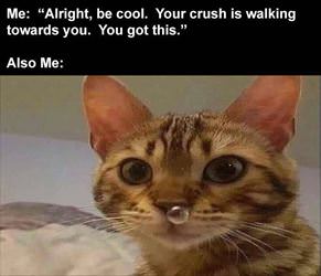 alright you got this