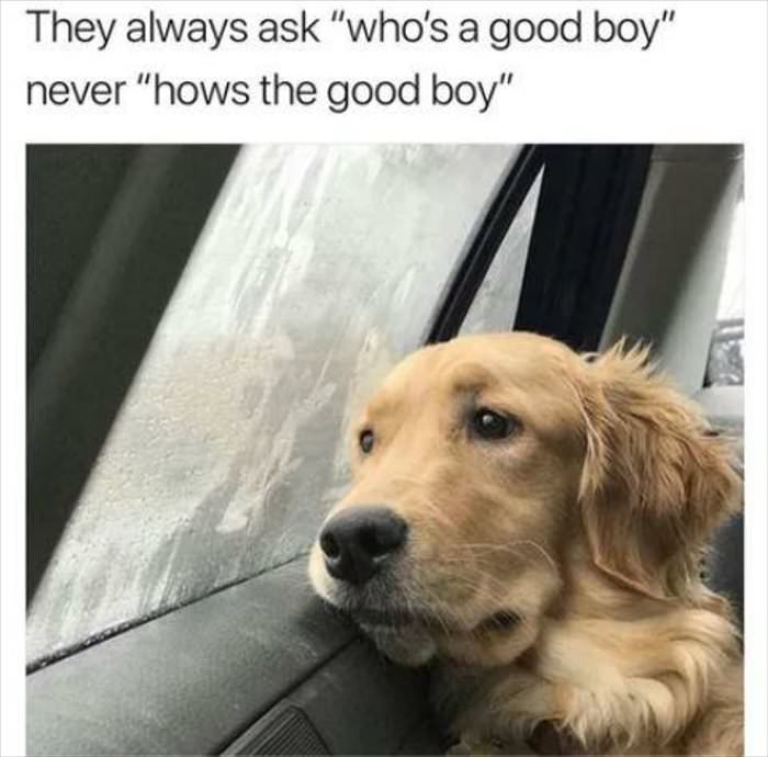 always ask who is a good boy