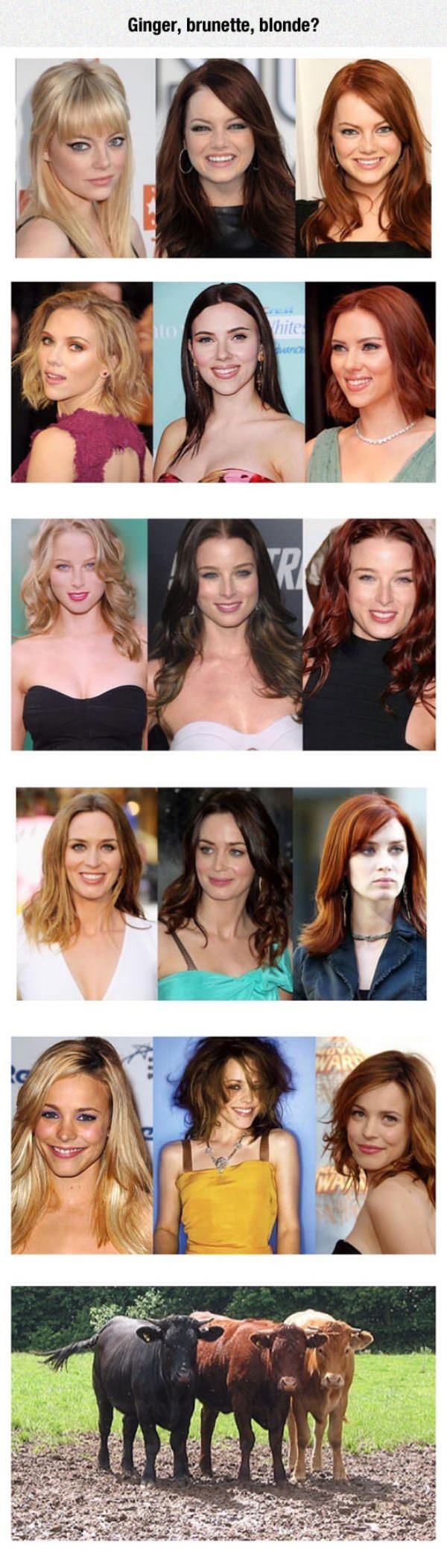 always changing funny picture