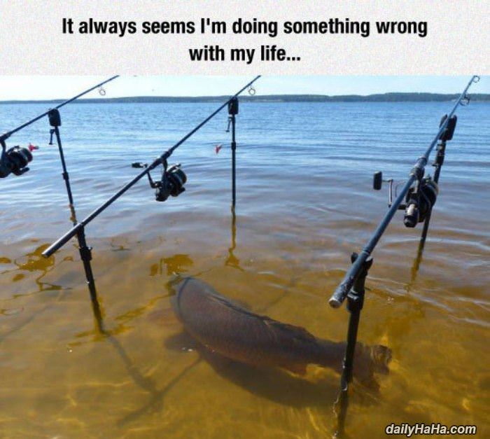 always seems wrong funny picture