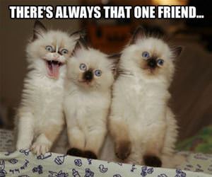 always that one funny picture