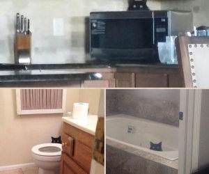 always watching funny picture