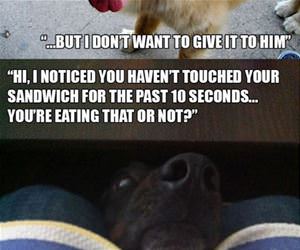 always your big baby funny picture