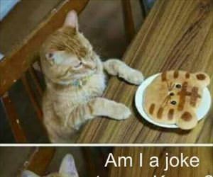 am i a joke to you
