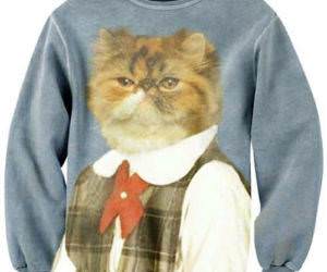 Amazing Sweater funny picture