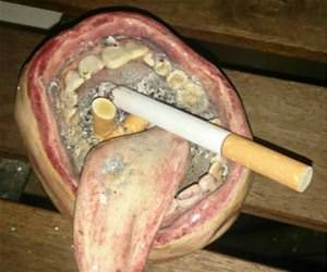 amazing ash tray funny picture