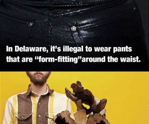 americas most bizarre laws funny picture
