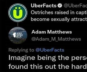 an uber fact