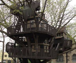 an epic tree house funny picture