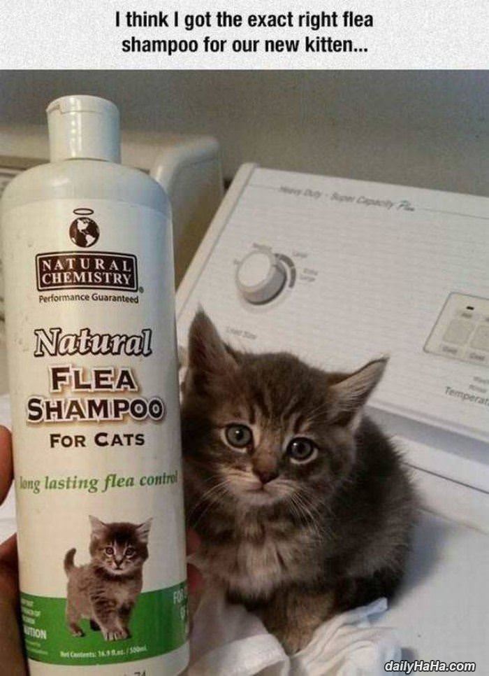 an exact match funny picture