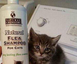 an exact match funny picture