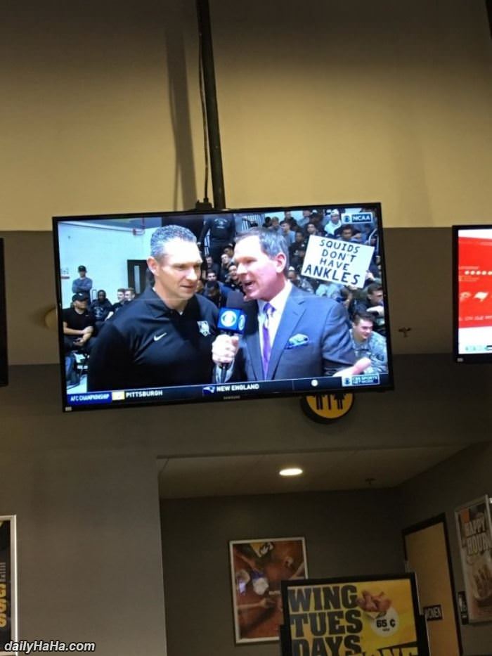 an important fact funny picture