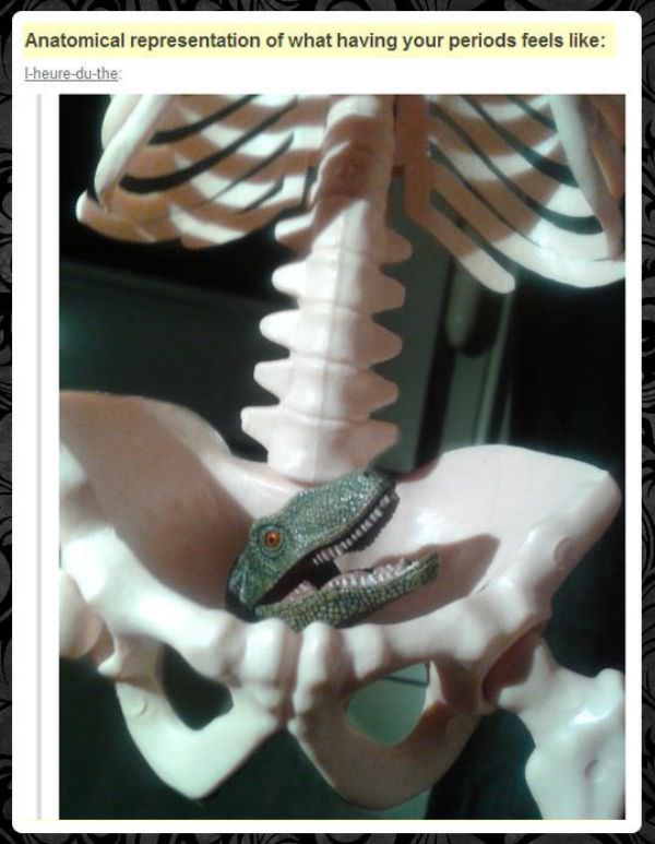 Anatomical Representation funny picture