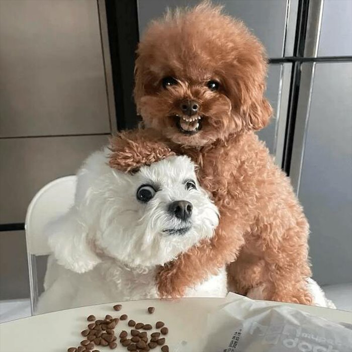 and can you smile now