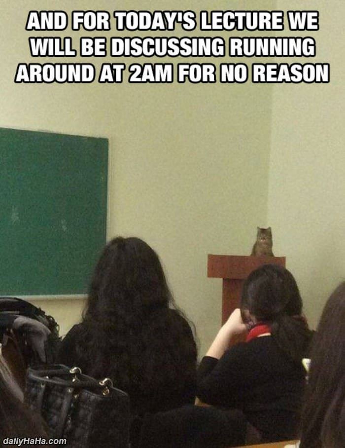 and for todays lecture funny picture